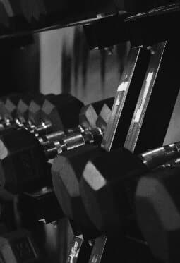 training Open Gym